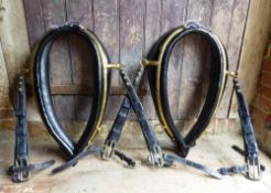 Pair of black leather collars with brass plated steel hames and straps, 23ins approx.; in show