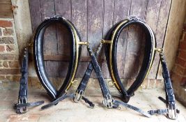 Pair of black leather collars with brass plated steel hames and straps, 23ins approx.; in show