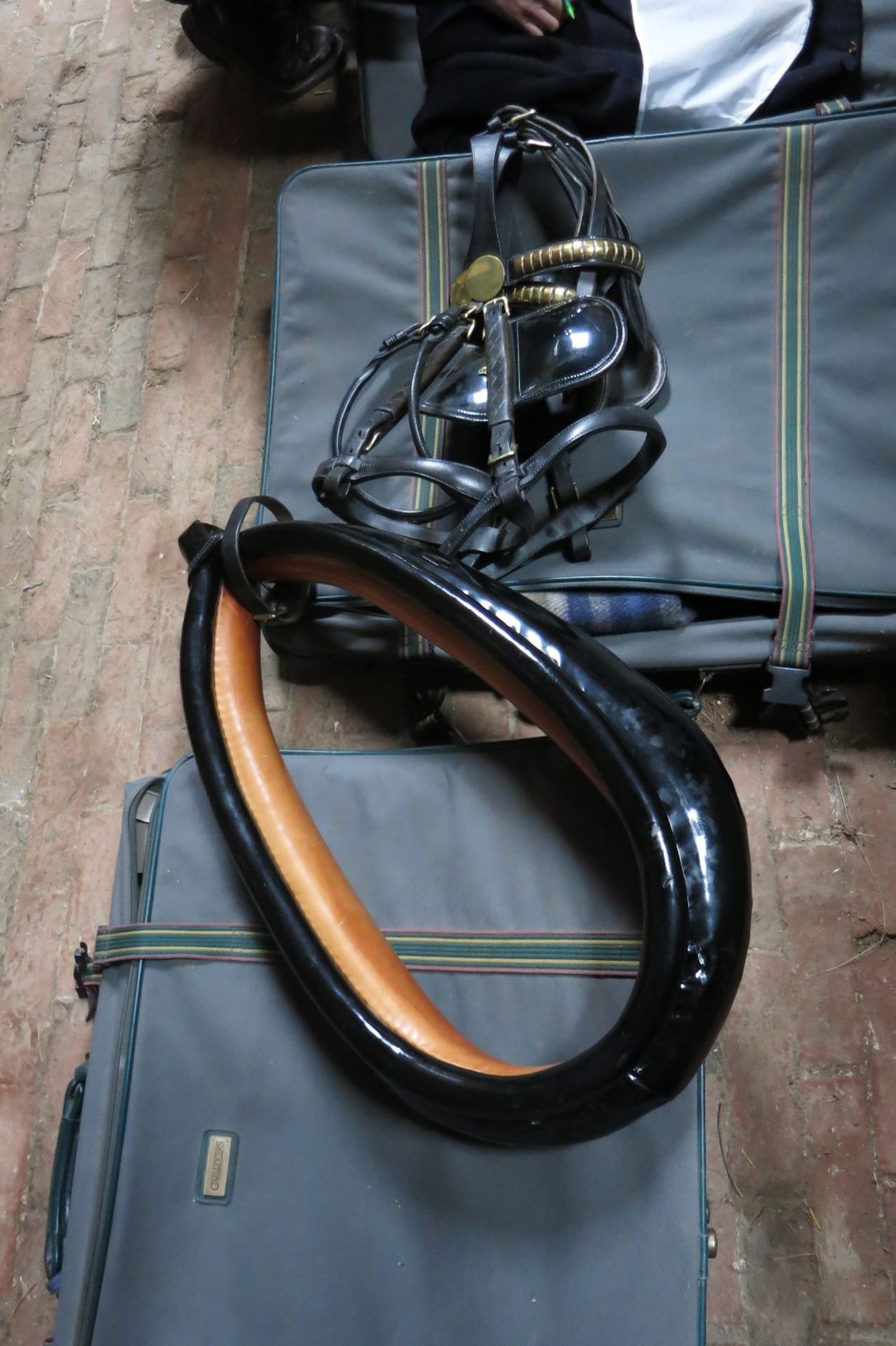 An exceptional complete TEAM set of black/patent leather/brass full size harness, the tan coloured - Image 6 of 6