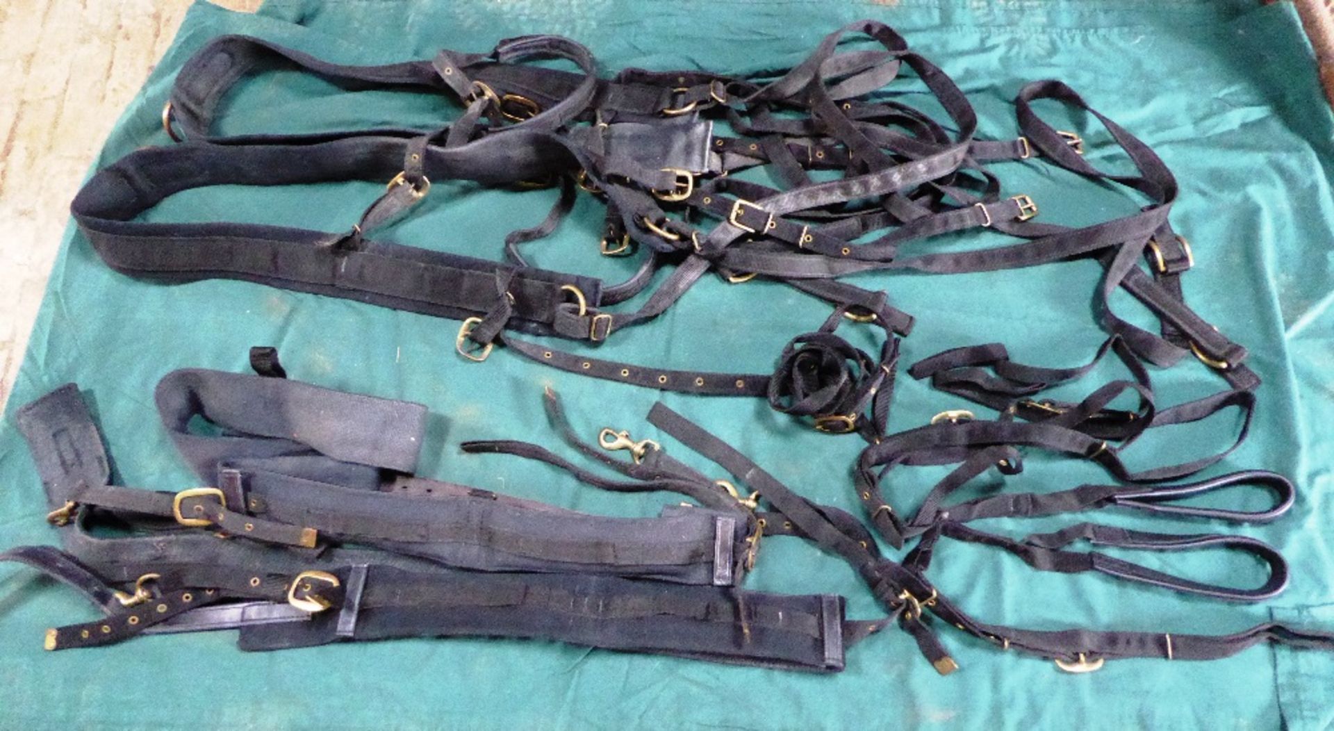 A PAIR set of webbing harness; no bridles