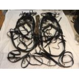 Set of black full size PAIR harness by Tedman Duraweb with full breeching and quick release