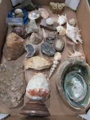 Box of shells, crystal & rocks. Estimate £20-30.