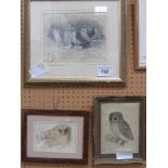 3 framed & glazed owl related prints & a framed & glazed print of a castle. Estimate £10-20.