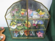 Glass cabinet containing 14 various butterflies