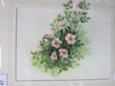 2 framed & glazed watercolours, floral, signed Alan Lister