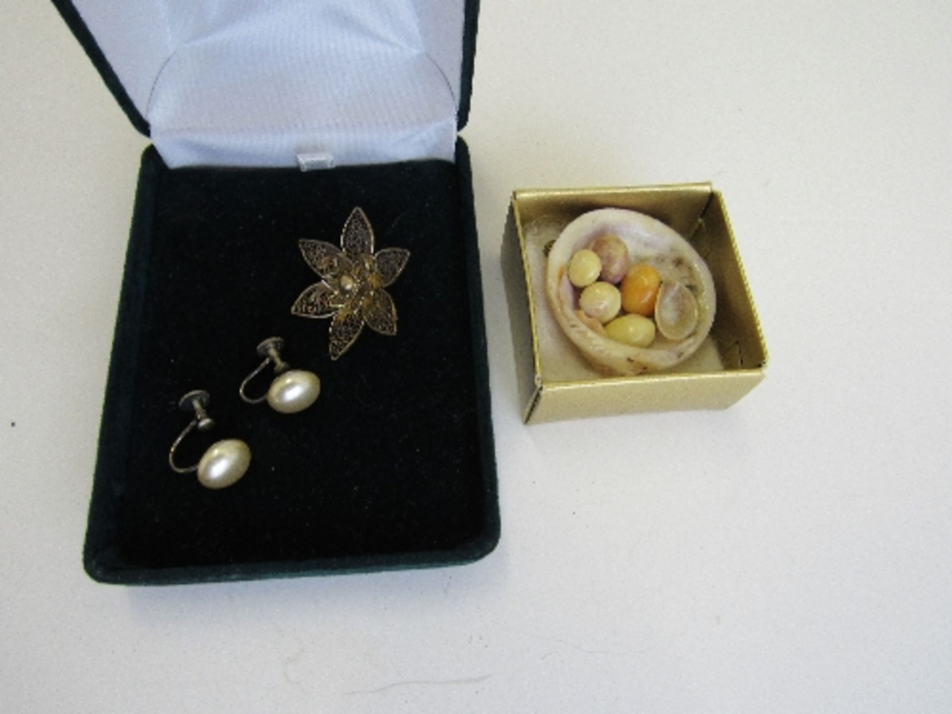 Cockle shell brooch, pair of silver & pearl earrings & a fine filigree brooch of white metal &