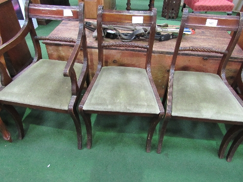 Regency-style rope twist back dining chairs, 3 carvers & 3 standard. Estimate £30-40. - Image 2 of 3