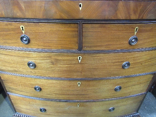 Mahogany bow fronted chest of drawers with long frieze drawer above 2 over 3 graduated drawers, - Image 4 of 5