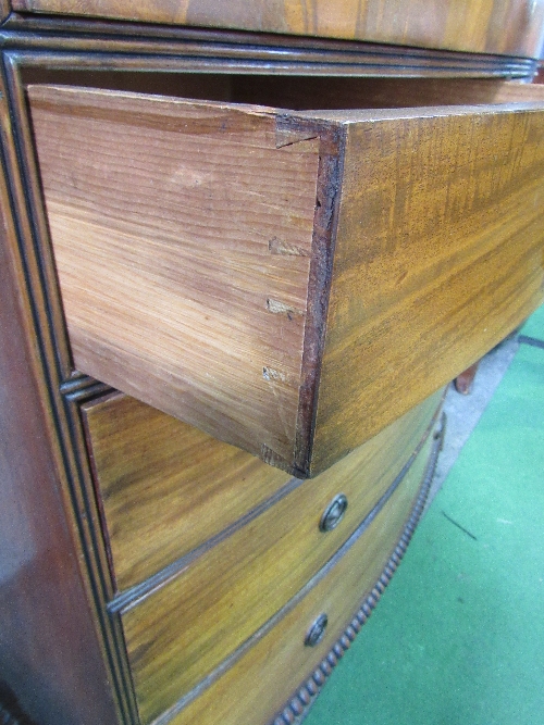 Mahogany bow fronted chest of drawers with long frieze drawer above 2 over 3 graduated drawers, - Image 3 of 5