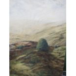 2 unframed oil on canvas of moorland scenes by Pablo Cano. Estimate £20-30.