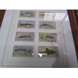 4 framed & glazed cigarette cards: 2 of fish; fire engines; caricatures; plus flags of the British