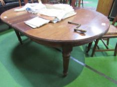 Mahogany Edwardian wind-out dining table c/w 2 leaves, on reeded turned legs to casters c/w
