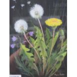 Framed & glazed watercolour of Dandelions, signed & a framed & glazed watercolour of Sweet Peas,