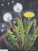 Framed & glazed watercolour of Dandelions, signed & a framed & glazed watercolour of Sweet Peas,