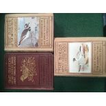 Birds of the British Isles & Their Eggs by T Coward. 3 volumes complete. Published 1925-1926.