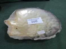 Large natural oyster shell, 20cms. Estimate £25-40