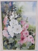 Framed & glazed watercolour of Holyhocks, signed A Proctor. Estimate £20-30