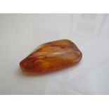 A piece of insect amber. Estimate £20-40