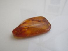 A piece of insect amber. Estimate £20-40