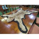 Vintage cheetah complete skin on baize rug, taxidermy with full head. Estimate £80-120