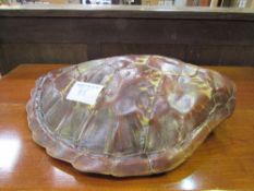 * 19th century Southern Pacific/Polynesian turtle carapace (shell), bright Browns & golds, ideal for