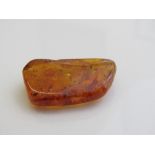 A piece of insect amber. Estimate £20-40