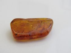 A piece of insect amber. Estimate £20-40