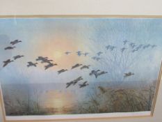 Framed & glazed print of flighting teal, by Peter Scott & a framed & glazed limited edition print '