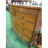 Mahogany bow front chest of drawers with long frieze drawer above 2 over 3 graduated drawers, 115cms