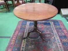 Mahogany tilt-top pedestal occasional table on 3 pad feet, diameter 70cms, height 70cms. Estimate £