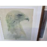 2 framed & glazed limited edition prints of owls, signed & a limited edition print of a bird of prey