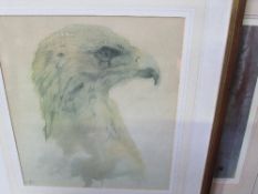 2 framed & glazed limited edition prints of owls, signed & a limited edition print of a bird of prey