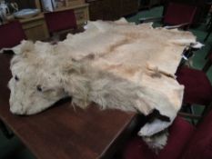 Wearable vintage male lion full skin for mounting or rug with full head. Estimate £150-200