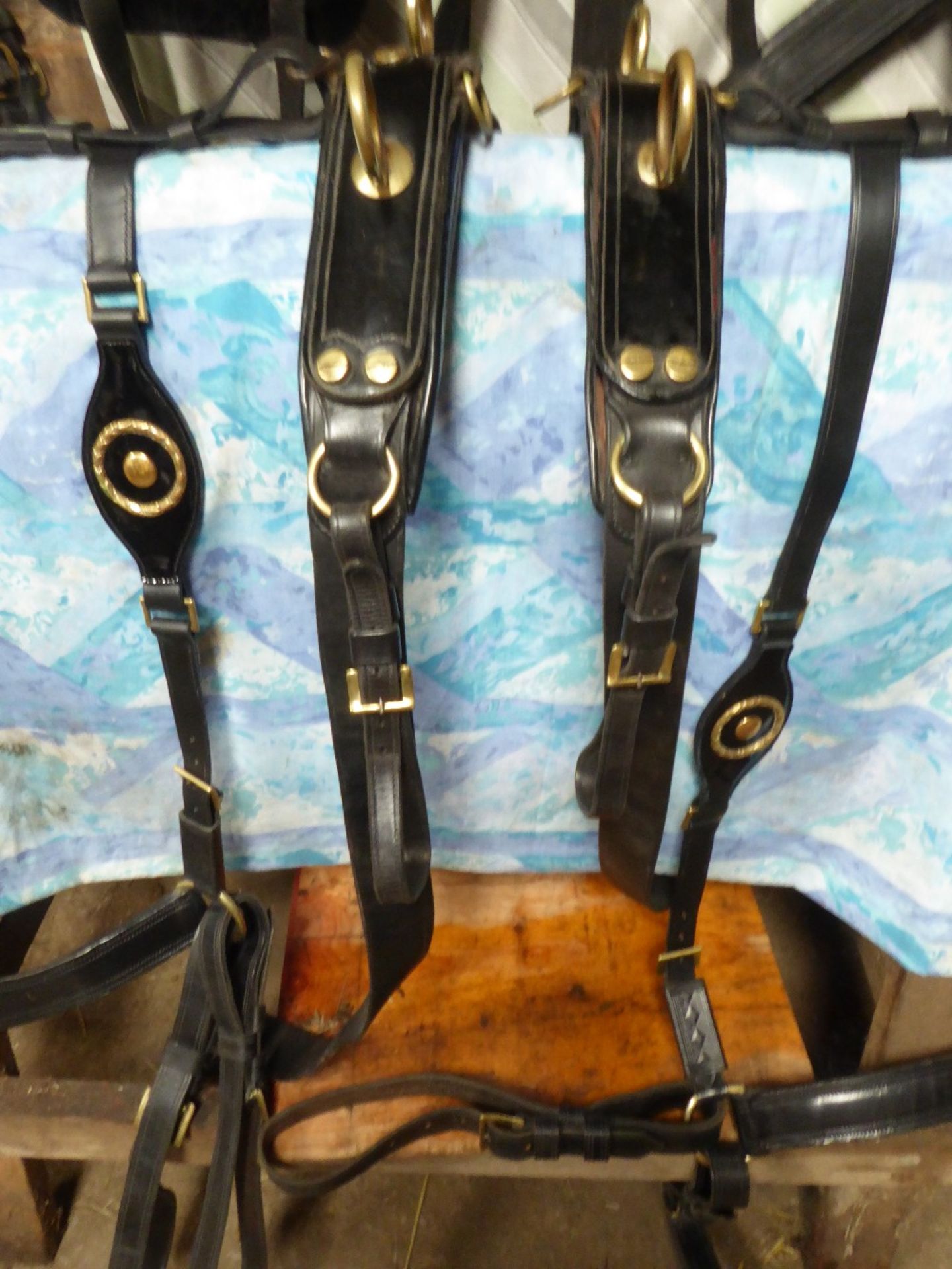 Set of black patent PAIR show/commercial harness with 28ins collars, brass hames with acorn tops and - Image 5 of 6