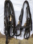 Set of black/brass exercise PAIR set of harness with breeching, backband, breastplate, crupper,