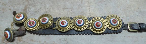 Leather strap with fluted edging and eight horse brasses with red, white and blue ceramic bosses