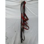 Black and red leather donkey bridle with reins, and decorated with brass studs