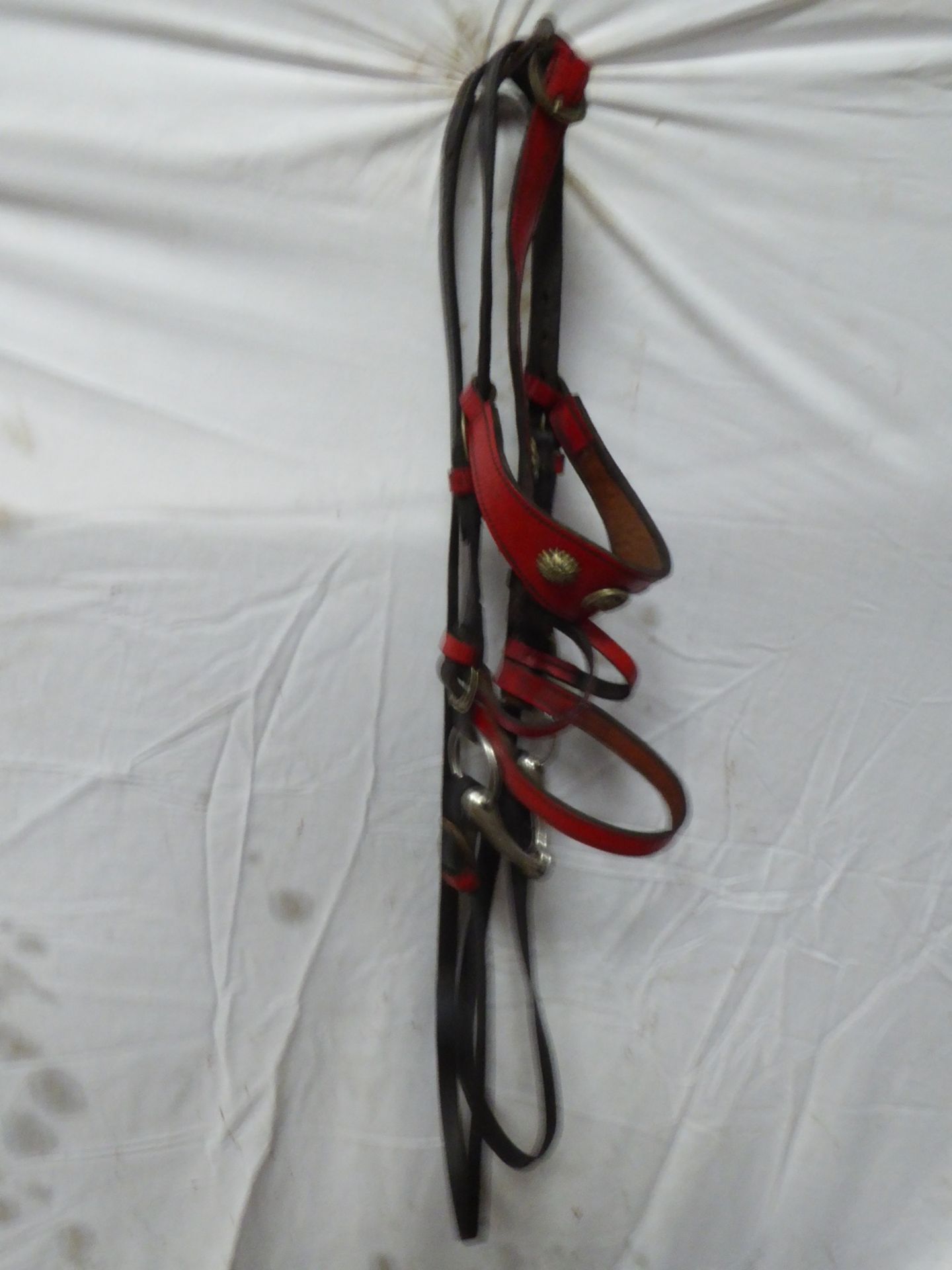 Black and red leather donkey bridle with reins, and decorated with brass studs