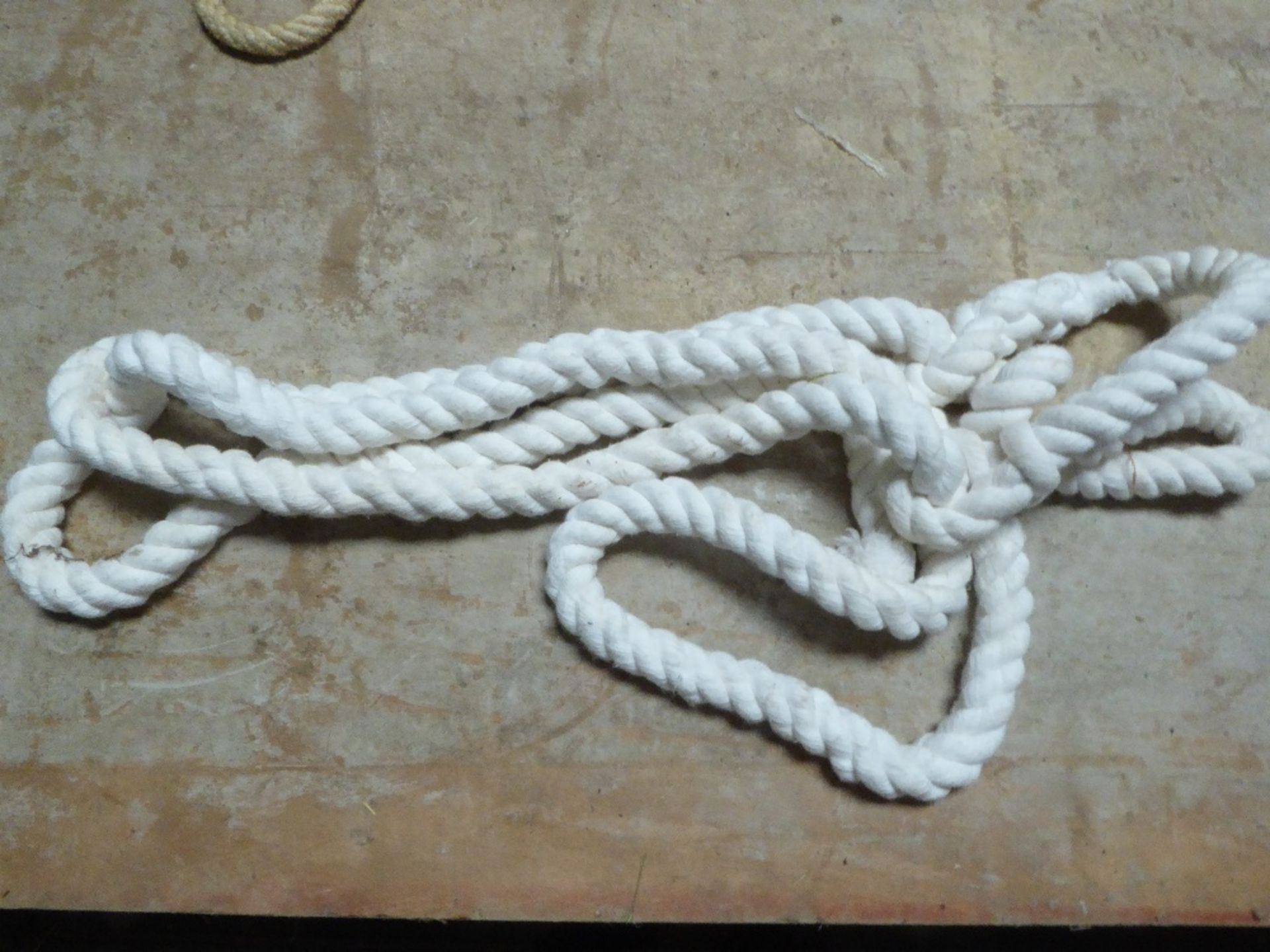White rope halter