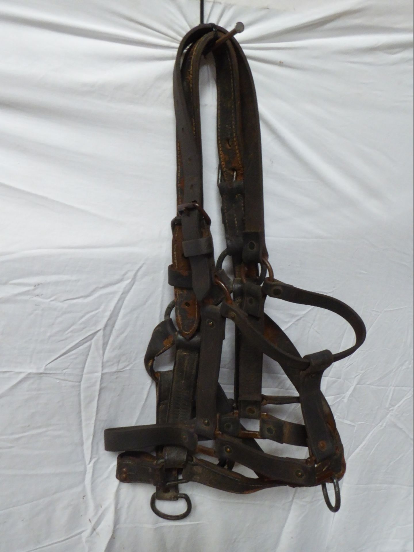 Pair of black Shire headcollars