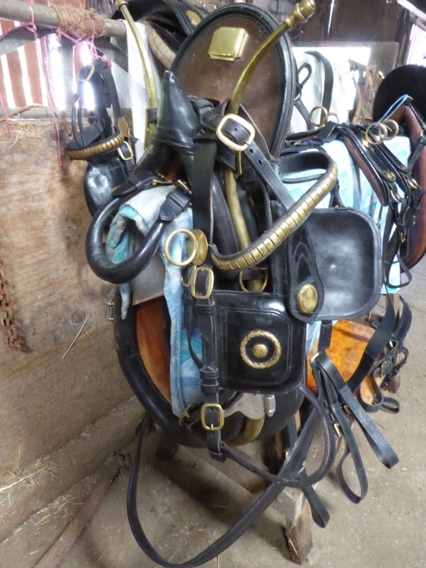 Set of black patent PAIR show/commercial harness with 28ins collars, brass hames with acorn tops and - Image 3 of 6