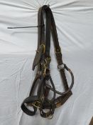 Pair of black Shire headcollars with brass fittings