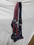 Pair of maroon/navy webbing headcollars