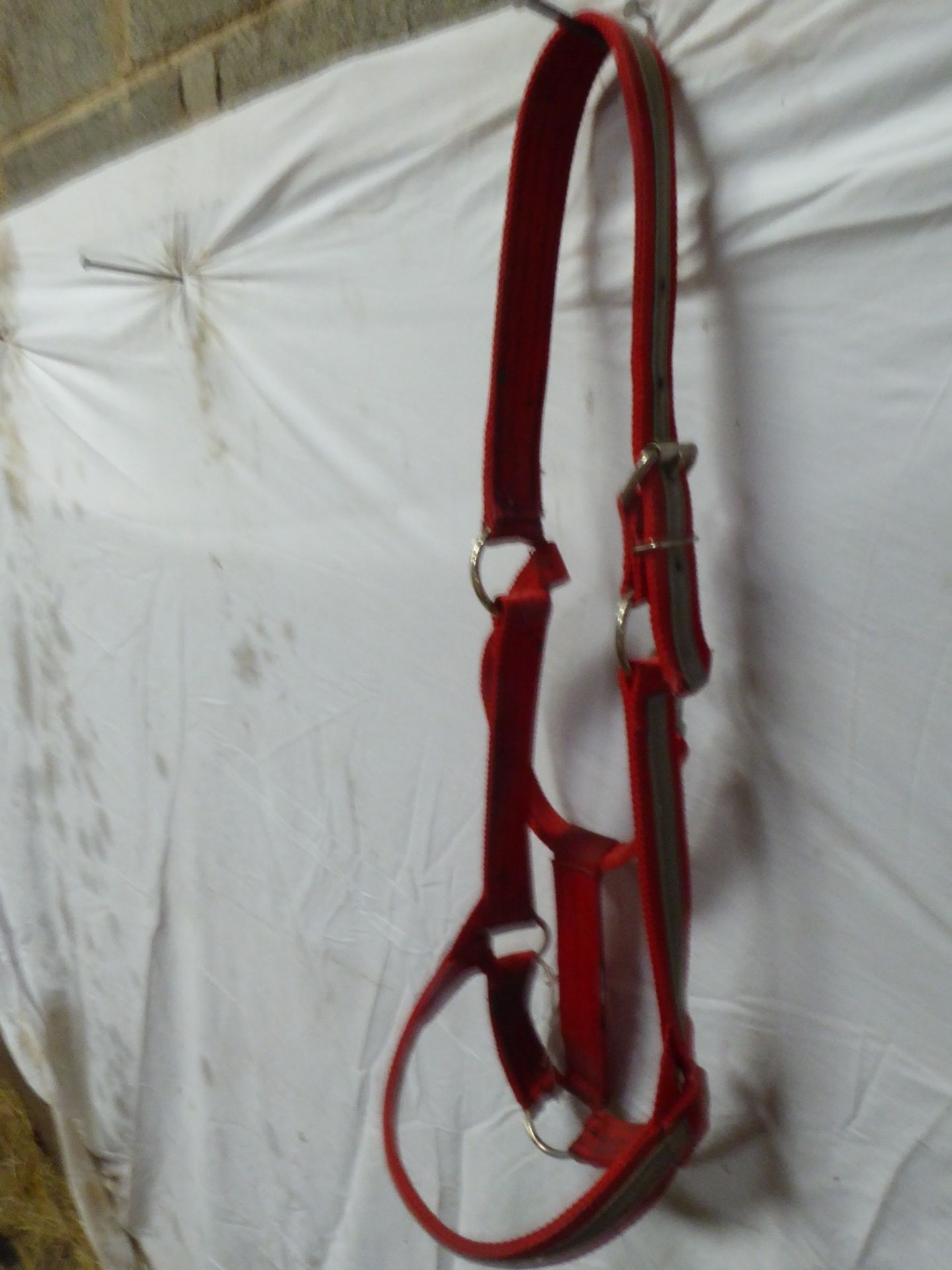 Single red/cream headcollar