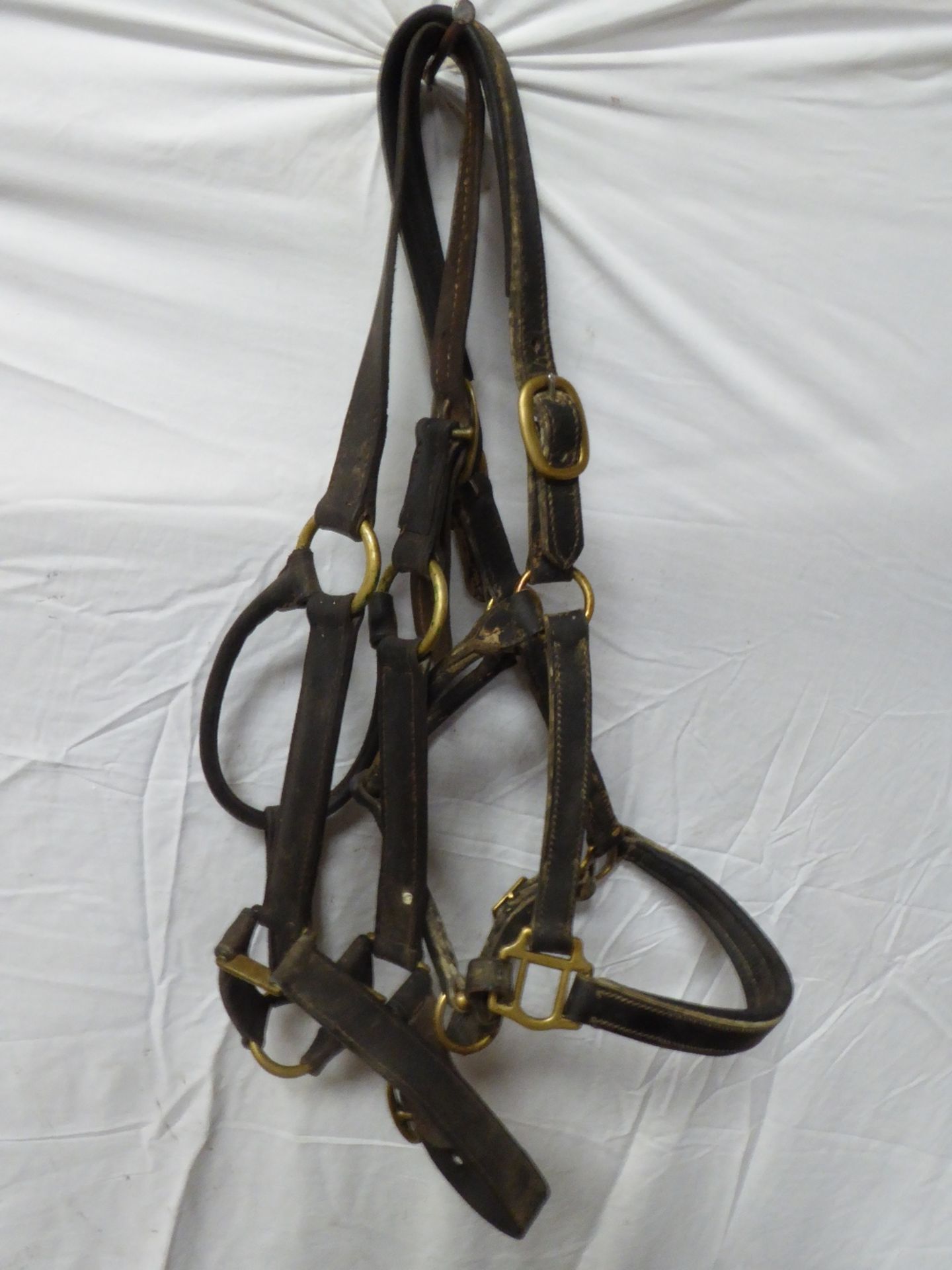 Pair of black leather headcollars with brass fittings