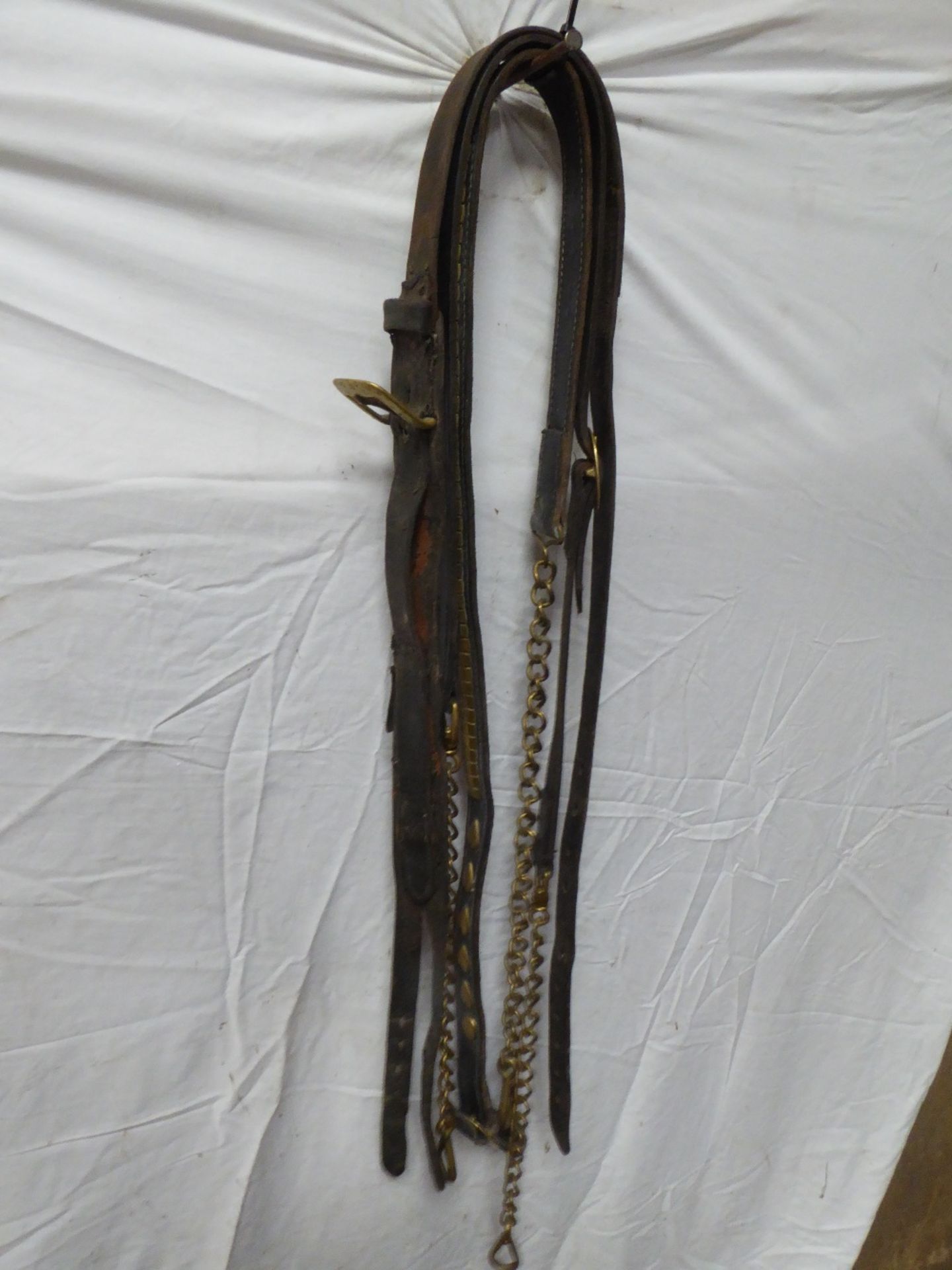 Pair of bearing reins and a back strap