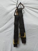 Pair of pole straps with brass buckles