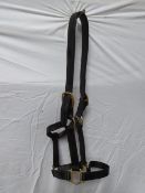 Black leather Shire halter with brass fittings
