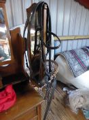 Riding bridle with breastplate, martingale and reins