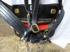 Complete single set of black leather show harness by S.W. Halford of Crowland with a 28½ ins